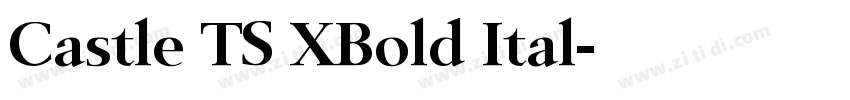Castle TS XBold Ital字体转换 Castle TS XBold Ital字体转换